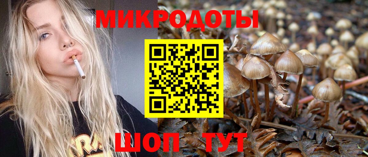 Псилоцибиновые грибы Cubensis Советская Гавань